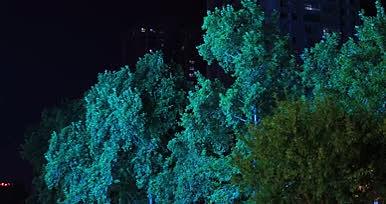 夜色城市自然风光实拍视频的预览图